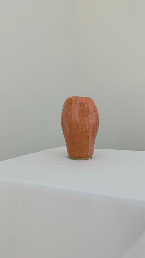 Mango Got a Sunburn Vases