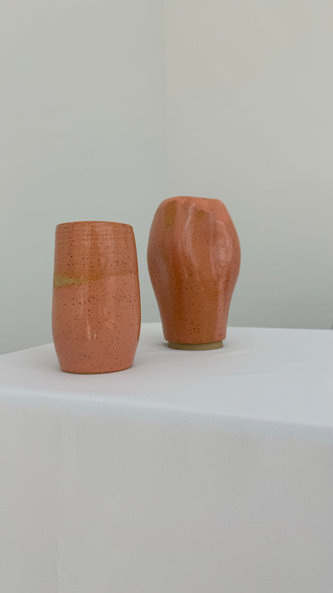Mango Got a Sunburn Vases