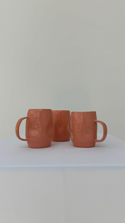 Sunburnt Mango Mugs